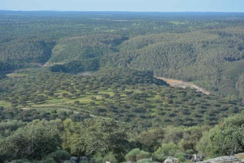Parc national de Monfrague