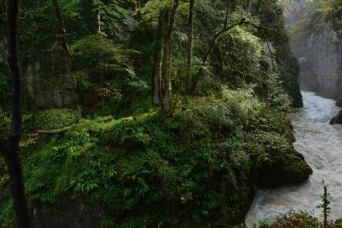 Gorges de la Langouette