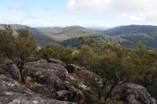 Parc national de Washpool