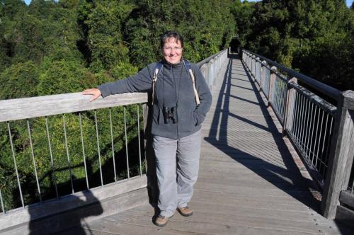 Parc national de Dorrigo