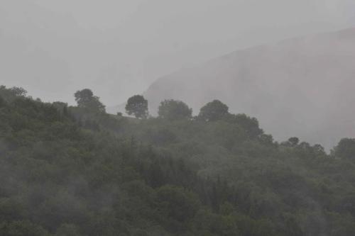 Vue depuis l'appartement