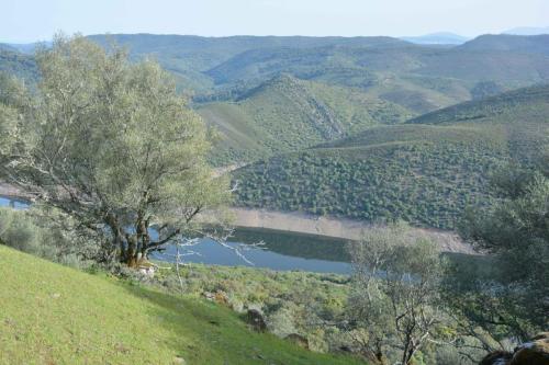 Rio Tajo dans le parc national de Monfrague