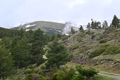 Collet de les Barraques
