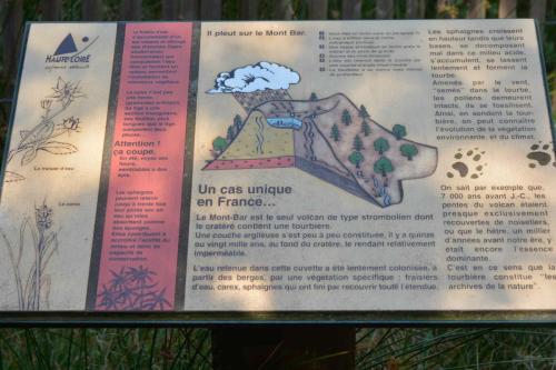 Tourbière du Mont Bar