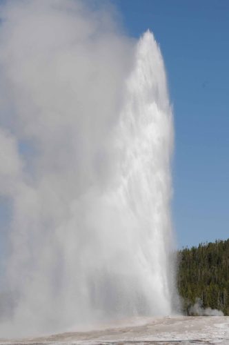 Geyser Old Faithful
