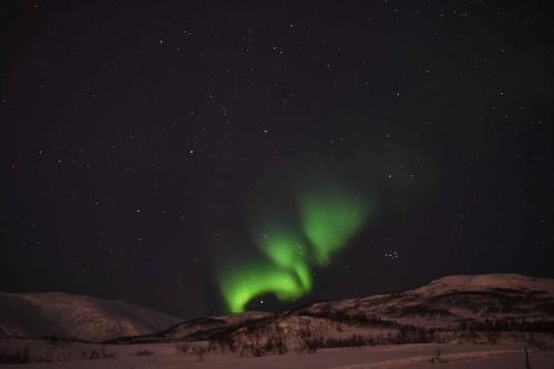 Aurore boréale à Tromso