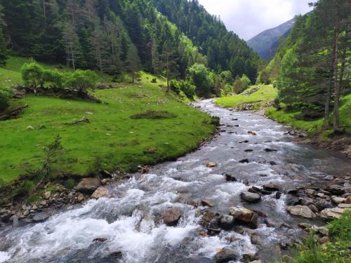 Vallée du Rioumajou