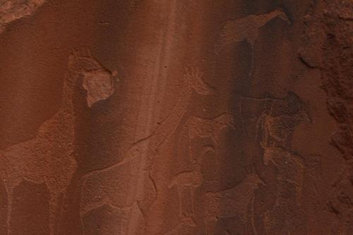 Petroglyphs à Twyfelfontein