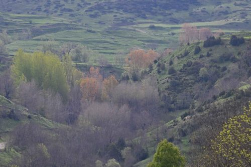 Près de Dourro
