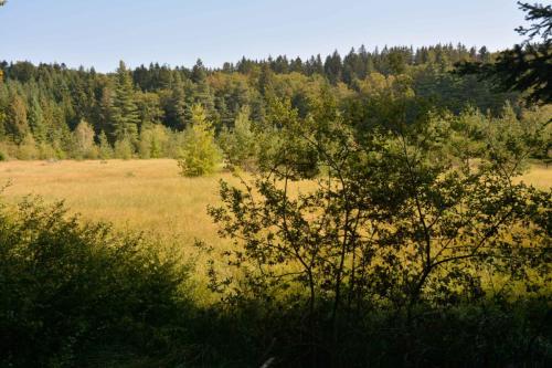 Tourbière du Mont Bar