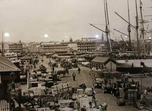 Port de Auckland, 1903