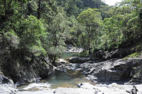 Tamborine mountains
