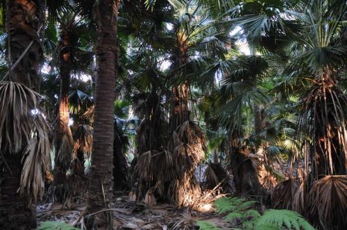 Parc national de Murramarang