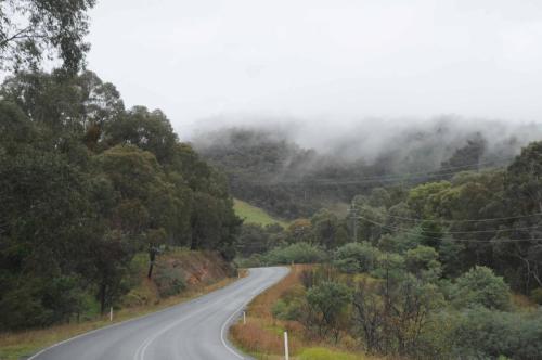 Route entre Corryong et Beechworth