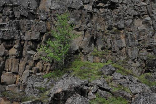 Parc national de Thingvellir