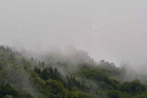 Vue depuis l'appartement