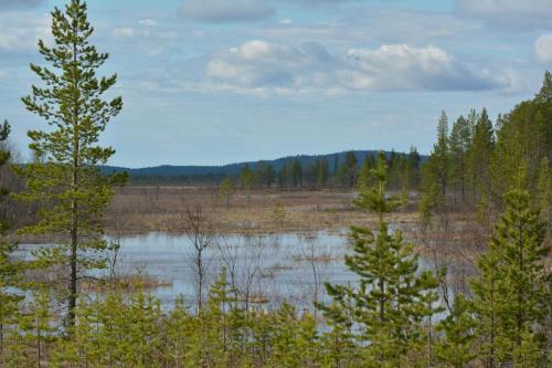 Un des nombreux lacs de Finlande