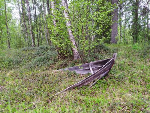 Bâteau absorbé par la forêt