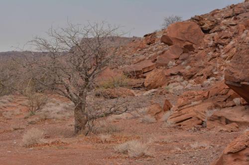Twyfelfontein