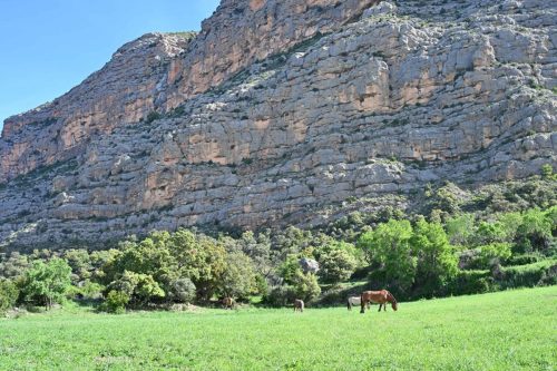 Près de Pessonada