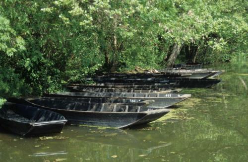 Marais poitevin