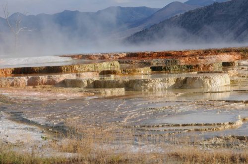 Terrasses volcaniques de Mammoth Hot Springs