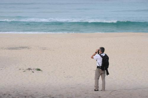 Ornitho à Seven Miles Beach