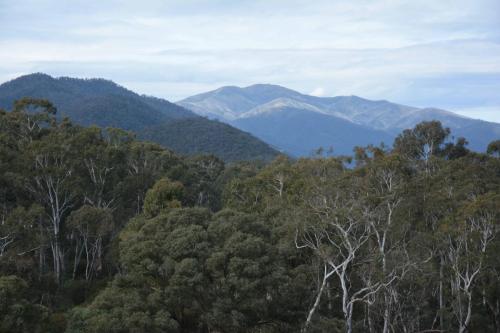 Alpes Australiennes