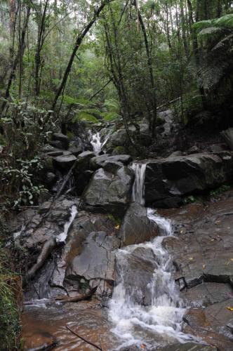 Chutes d'eau de Olinda
