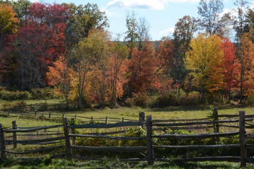 Ecomusée de Old Sturbridge