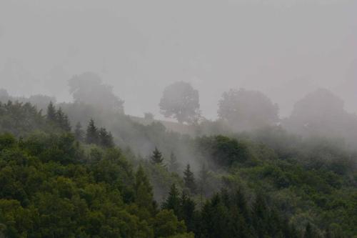 Vue depuis l'appartement