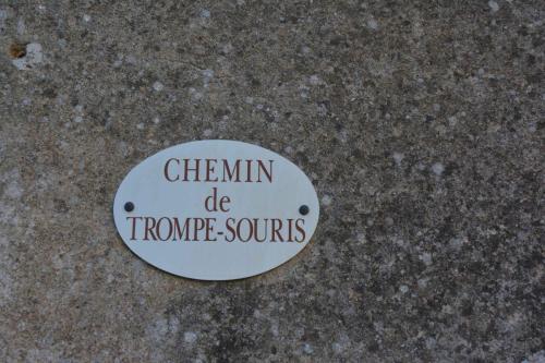 Asnières-sur-Vègre (Sarthe)