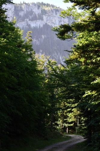 En direction du Pas de la Bergère
