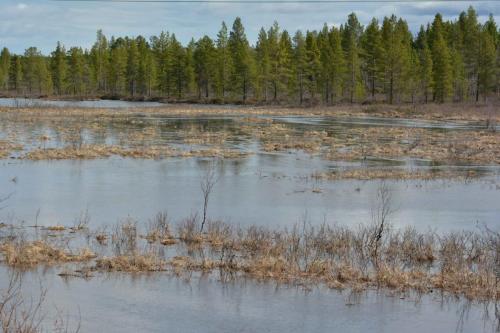 Un des nombreux lacs de Finlande