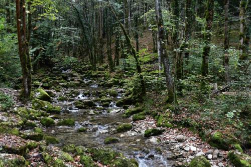 Cascades du Hérisson