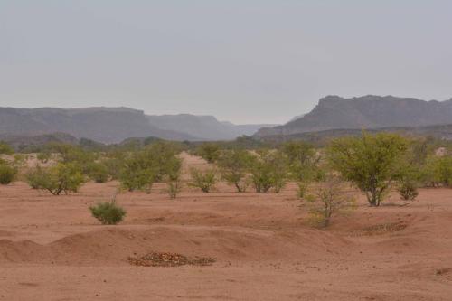 Twyfelfontein