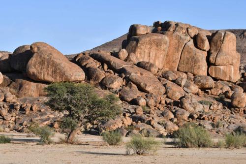 Près de Gondwana Canyon Village