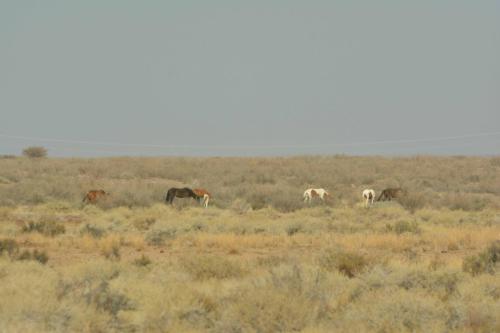 Sur la B1 entre Keetmanshoop et Mariental