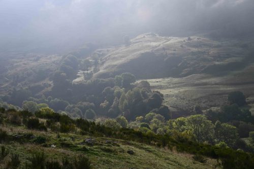 Entre Col de Serre et Pas de Peyrol
