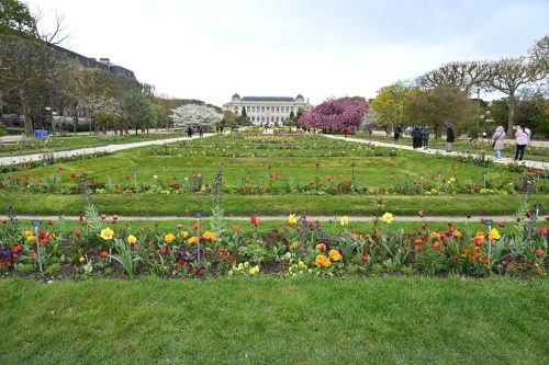 Jardin des plantes
