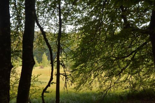 Tourbière du Mont Bar