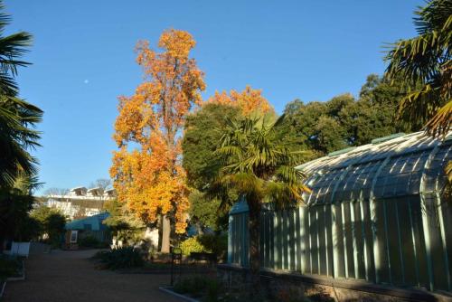 Serres d'Auteuil et au fond le court central de Roland Garros
