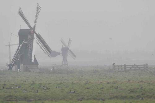 Polder Waal en Burg