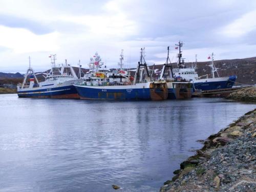 Bâteaux de pêche russes en escale à Batsfjord