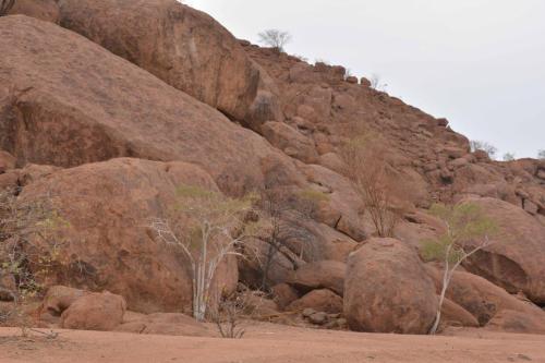 Twyfelfontein