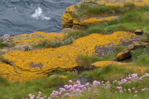 Duncasby head
