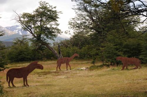 Animaux préhistoriques qui vivaient dans la région