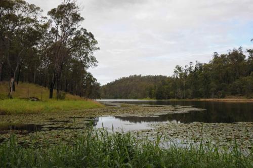 Lac Enoggera