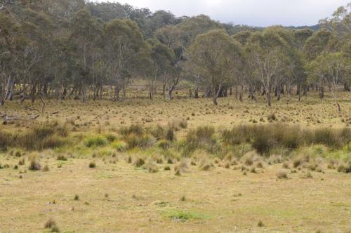 Parc national de New-England