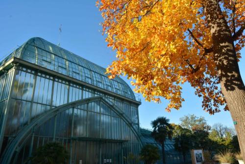 Serres d'Auteuil